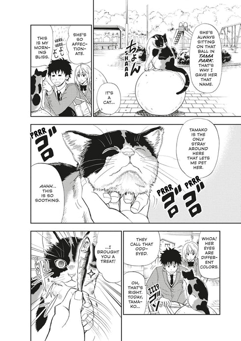 Cat + Crazy Volume 1