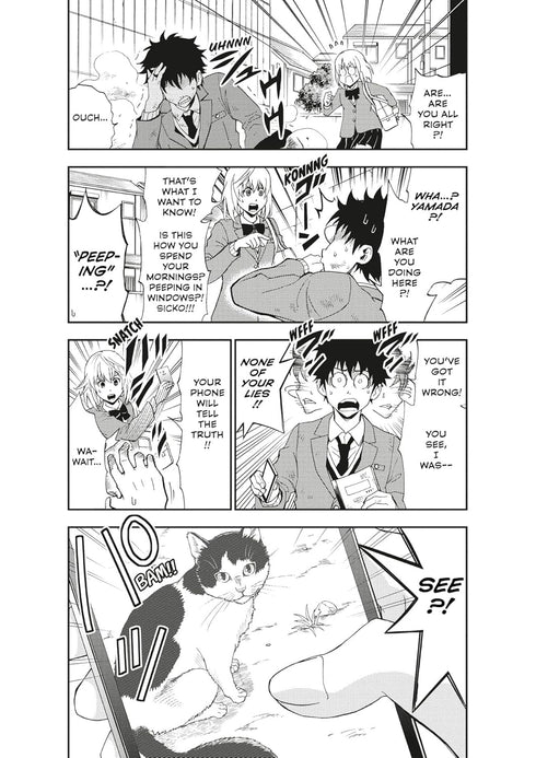 Cat + Crazy Volume 1