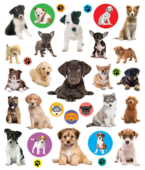 PUPPIES EYELIKE STICKERS - WORKMAN