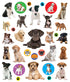PUPPIES EYELIKE STICKERS - WORKMAN