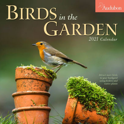 AUDUBON BIRDS IN THE GARDEN WALL CALENDAR 2021