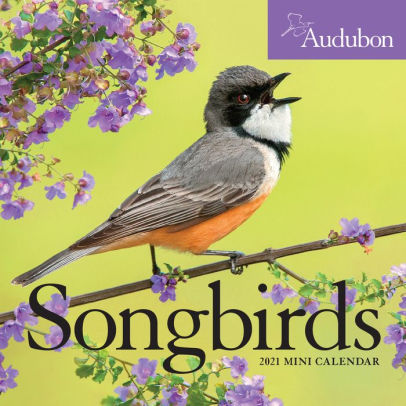 AUDUBON SONGBIRDS MINI WALL CALENDAR 2021