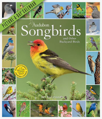 AUDUBON SONGBIRDS AND OTHER BACKYARD BIRDS PICTURE-A-DAY WALL CALENDAR 2021