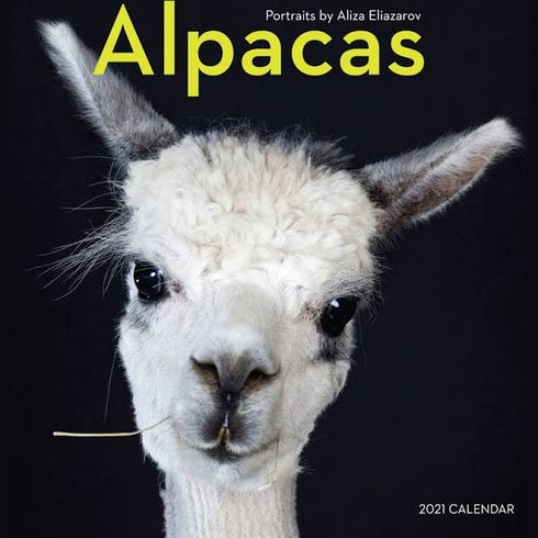 ALPACAS WALL CALENDAR 2021