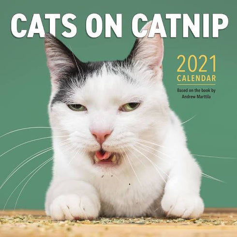 CATS ON CATNIP WALL CALENDAR 2021