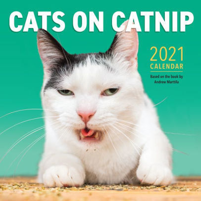 CATS ON CATNIP WALL CALENDAR 2021