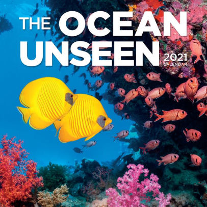 THE OCEAN UNSEEN WALL CALENDAR 2021
