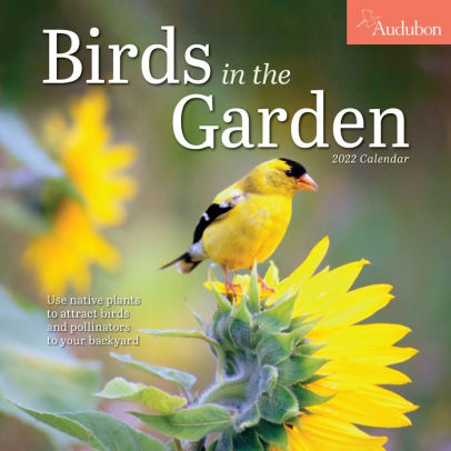 BIRDS IN THE GARDEN