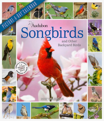 AUDOBON SONGBIRDS