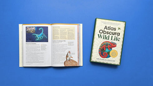 ATLAS OBSCURA: WILD LIFE: AN EXPLORER'S GUIDE TO THE WORL'D LIVING WONDERS