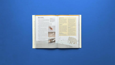 ATLAS OBSCURA: WILD LIFE: AN EXPLORER'S GUIDE TO THE WORL'D LIVING WONDERS