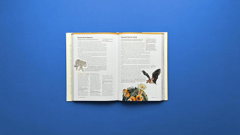 ATLAS OBSCURA: WILD LIFE: AN EXPLORER'S GUIDE TO THE WORL'D LIVING WONDERS