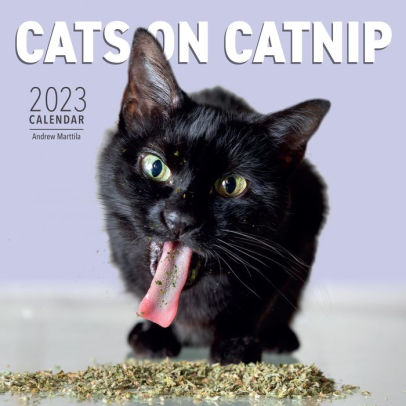 Cats on Catnip Wall Calendar 2023 - WORKMAN