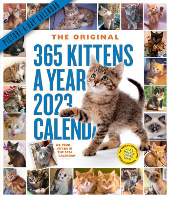 365 Kittens-A-Year Picture-A-Day Wall Calendar 2023 - WORKMAN