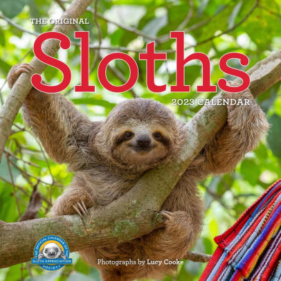 Original Sloths Wall Calendar 2023 - WORKMAN