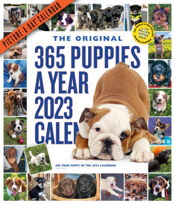 365 Puppies-A-Year Picture-A-Day Wall Calendar 2023 - WORKMAN