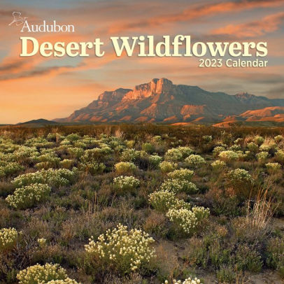 Audubon Desert Wildflowers Wall Calendar 2023 - WORKMAN