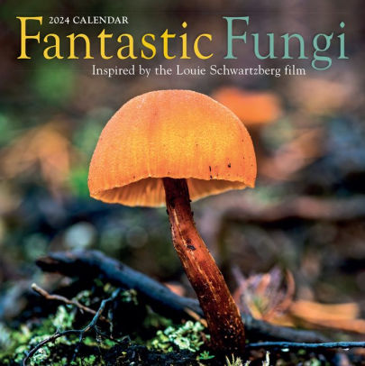 FANTASTIC FUNGI WALL CALENDAR 2024 - WORKMAN CALENDARS