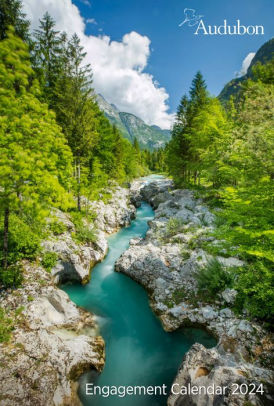 AUDUBON ENGAGEMENT CALENDAR 2024 - WORKMAN CALENDARS