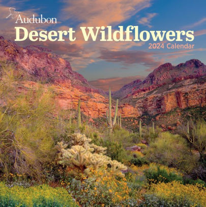 AUDUBON DESERT WILDFLOWERS WALL CALENDAR 2024 - WORKMAN CALENDARS