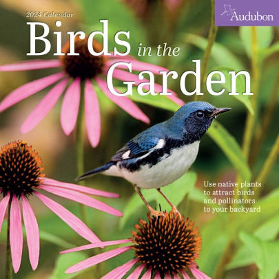 AUDUBON BIRDS IN THE GARDEN WALL CALENDAR 2024 - WORKMAN CALENDARS