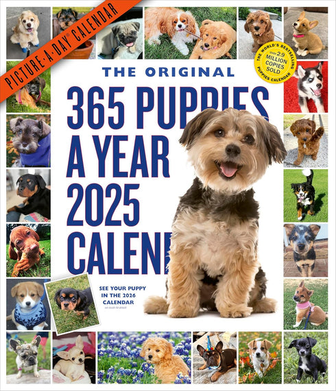 365 PUPPIES-A-YEAR PICTURE-A-DAY WALL CALENDAR 2025 - WORKMAN CALENDARS