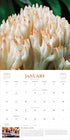 FANTASTIC FUNGI WALL CALENDAR 2025 - WORKMAN CALENDARS