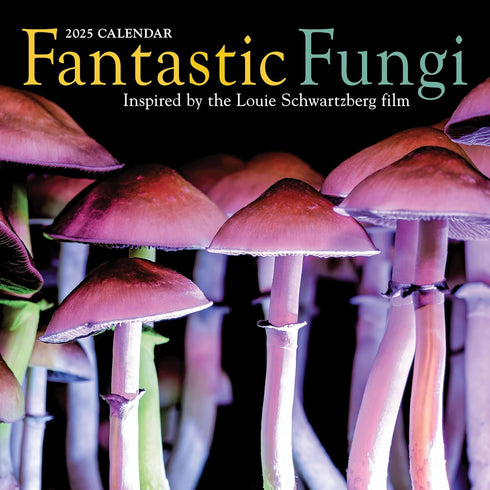FANTASTIC FUNGI WALL CALENDAR 2025 - WORKMAN CALENDARS