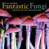 FANTASTIC FUNGI WALL CALENDAR 2025 - WORKMAN CALENDARS