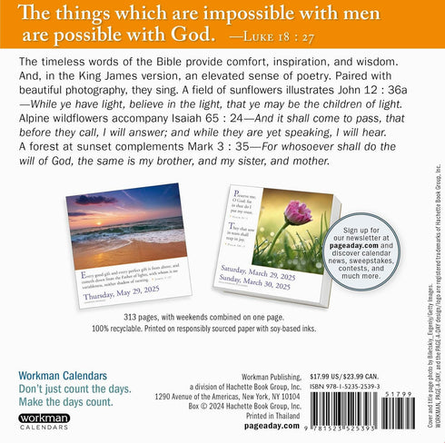 365 BIBLE VERSES-A-YEAR PAGE-A-DAY CALENDAR 2025 - WORKMAN CALENDARS