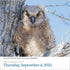 AUDUBON BIRDS PAGE-A-DAY CALENDAR 2025 - NATIONAL AUDUBON SOCIETY
