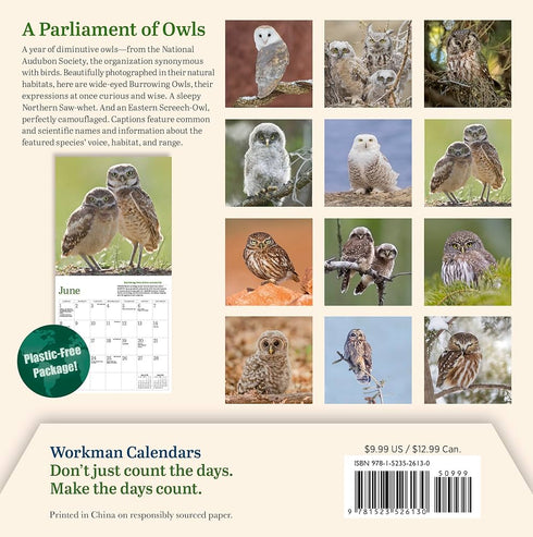AUDUBON LITTLE OWLS MINI WALL CALENDAR 2025 - NATIONAL AUDUBON SOCIETY