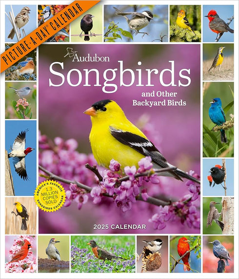 AUDUBON SONGBIRDS AND OTHER BACKYARD BIRDS PICTURE-A-DAY WALL CALENDAR 2025 - NA