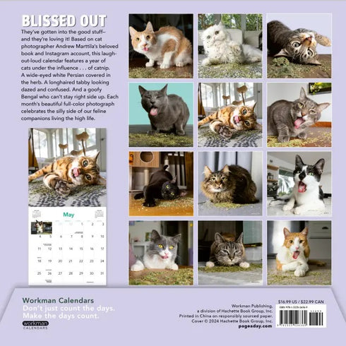 CATS ON CATNIP WALL CALENDAR 2025 - MARTTILA. ANDREW