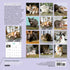 CATS ON CATNIP WALL CALENDAR 2025 - MARTTILA. ANDREW