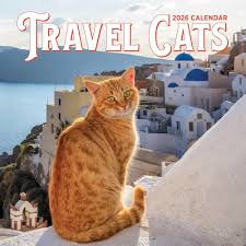 TRAVEL CATS WALL CALENDAR 2026