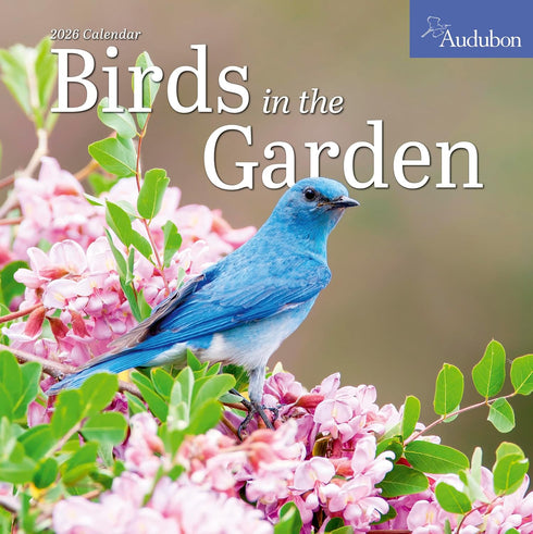 AUDUBON BIRDS IN THE GARDEN WALL CALENDAR 2026