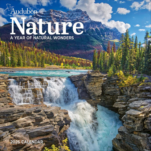 AUDUBON NATURE WALL CALENDAR 2026