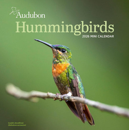 AUDUBON HUMMINGBIRDS MINI WALL CALENDAR 2026