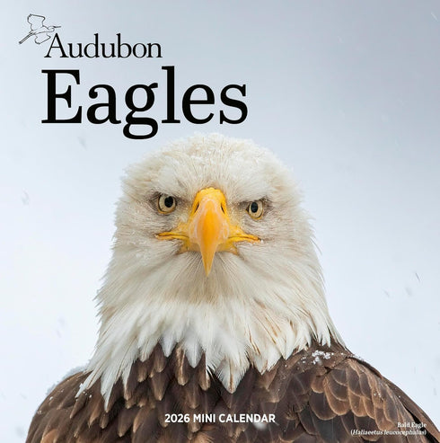 AUDUBON EAGLES MINI WALL CALENDAR 2026
