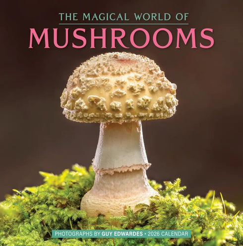 THE MAGICAL WORLD OF MUSHROOMS WALL CALENDAR 2026