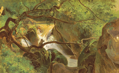 THE EYES AND THE IMPOSSIBLE: (NEWBERY MEDAL WINNER) - EGGERS. DAVE ; HARRIS. SHA