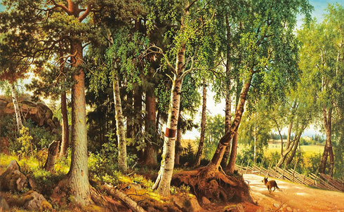 THE EYES AND THE IMPOSSIBLE: (NEWBERY MEDAL WINNER) - EGGERS. DAVE ; HARRIS. SHA