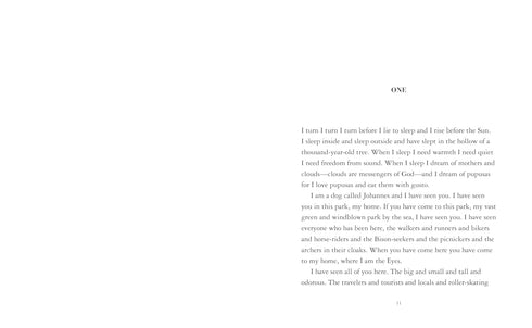 THE EYES AND THE IMPOSSIBLE: (NEWBERY MEDAL WINNER) - EGGERS. DAVE ; HARRIS. SHA