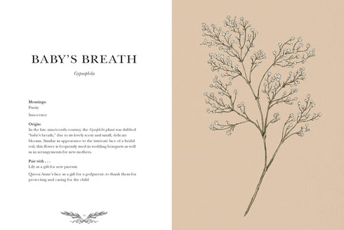 FLORIOGRAPHY: AN ILLUSTRATED GUIDE TO THE VICTORIAN LANGUAGE OF FLOWERS- ROUX. J