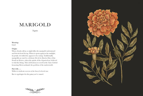 FLORIOGRAPHY: AN ILLUSTRATED GUIDE TO THE VICTORIAN LANGUAGE OF FLOWERS- ROUX. J