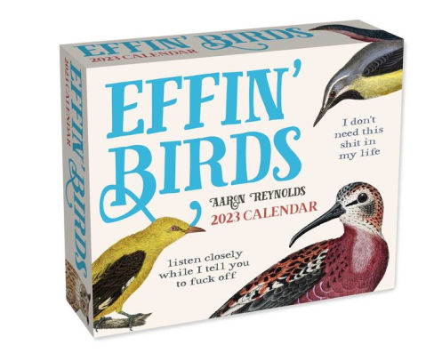 EFFIN' BIRDS 2023 DTD CALENDAR - ANDREWS MCMEEL