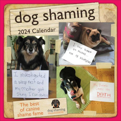 DOG SHAMING 2024 WALL CALENDAR - LEMIRE. PASCALE