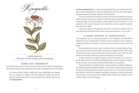 JANE AUSTEN'S GARDEN: A BOTANIAL TOUR OF THE CLASSIC NOVELS - WILLIAMS. MOLLY