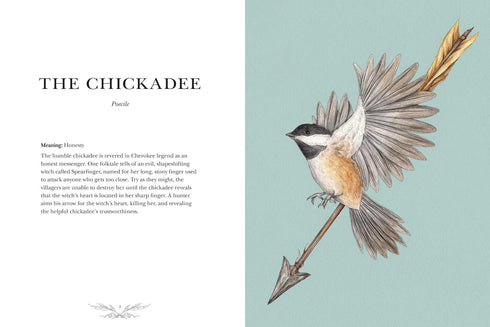 ORNITHOGRAPHY: AN ILLUSTRATED GUIDE TO BIRD LORE & SYMBOLISM - ROUX. JESSICA